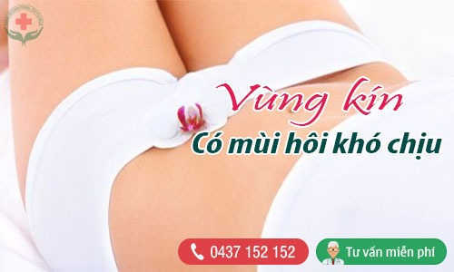 vùng kín có mùi hôi vùng kín có mùi hôi
