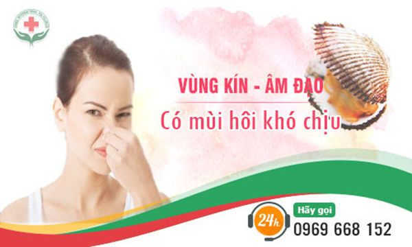 VÙNG KÍN CÓ MÙI HÔI LÀ BỆNH GÌ ? 1 vùng kín có mùi hôi