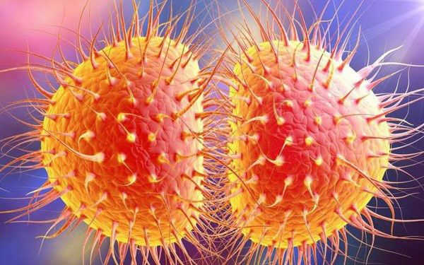 CHỮA BỆNH LẬU TẠI NHÀ - GIẢI ĐÁP ĐÚNG TỪ CHUYÊN GIA 3 vi khuẩn gây lậu