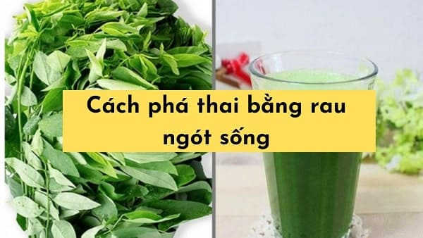 Cách phá thai bằng rau ngót