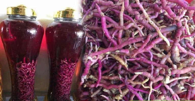 BẬT MÍ CÁCH CHỮA XUẤT TINH SỚM TẠI NHÀ HIỆU QUẢ 5 ruou ba kich