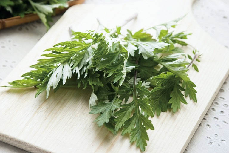 Cách chữa mùi hôi vùng kín bằng lá ngải cứu 