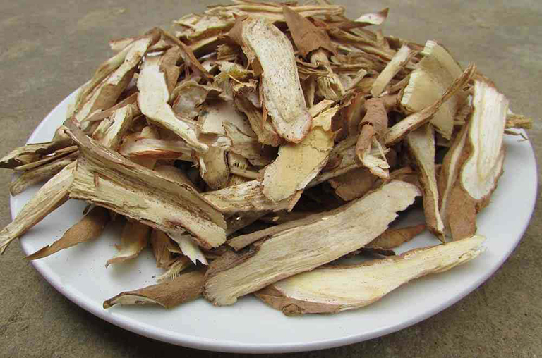 CHỮA RỐI LOẠN CƯƠNG DƯƠNG BẰNG CÂY THUỐC NAM TẠI NHÀ 9 Mẹo chữa rối loạn cương dương bằng cây thuốc nam từ rễ cau