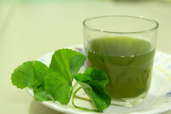 CÁCH PHÁ THAI BẰNG THUỐC NAM CÓ AN TOÀN KHÔNG? 3 phá thai bằng thuốc nam