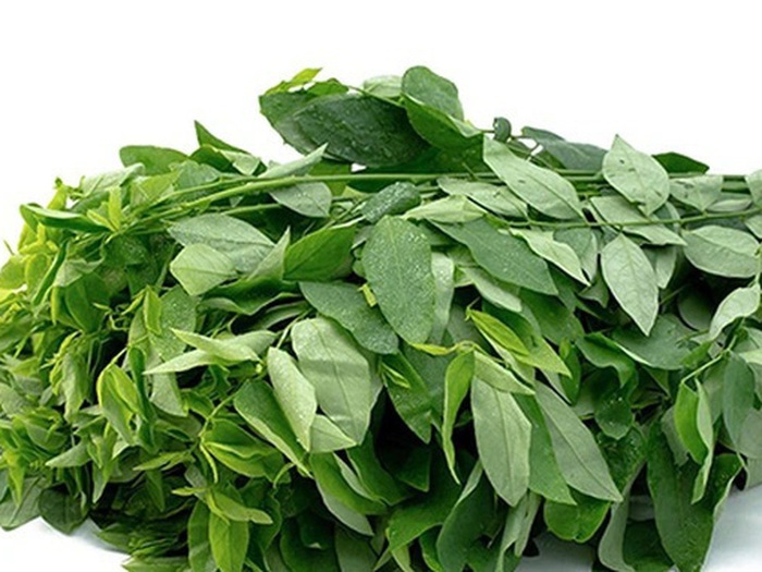 CÁCH PHÁ THAI BẰNG THUỐC NAM CÓ AN TOÀN KHÔNG? 4 Cách phá thai bằng thuốc nam từ rau ngót