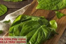 chua-viem-phu-khoa-bang-la-trau-khong-voi-xong-va-rua