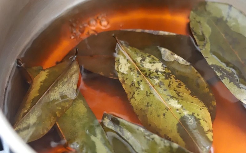 nuoc la bang rua phu khoa