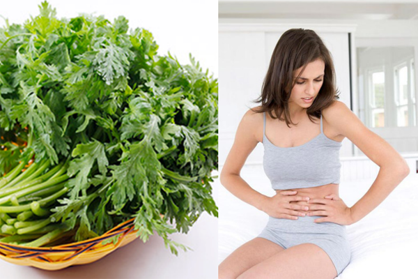 12 CÁCH CHỮA TIỂU BUỐT Ở NỮ GIỚI ĐƠN GIẢN, HIỆU QUẢ 4 Dùng lá ngải cứu chữa tiểu buốt ở nữ giới