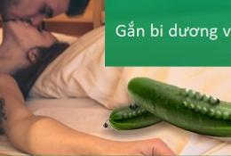 gan-bi-duong-vat