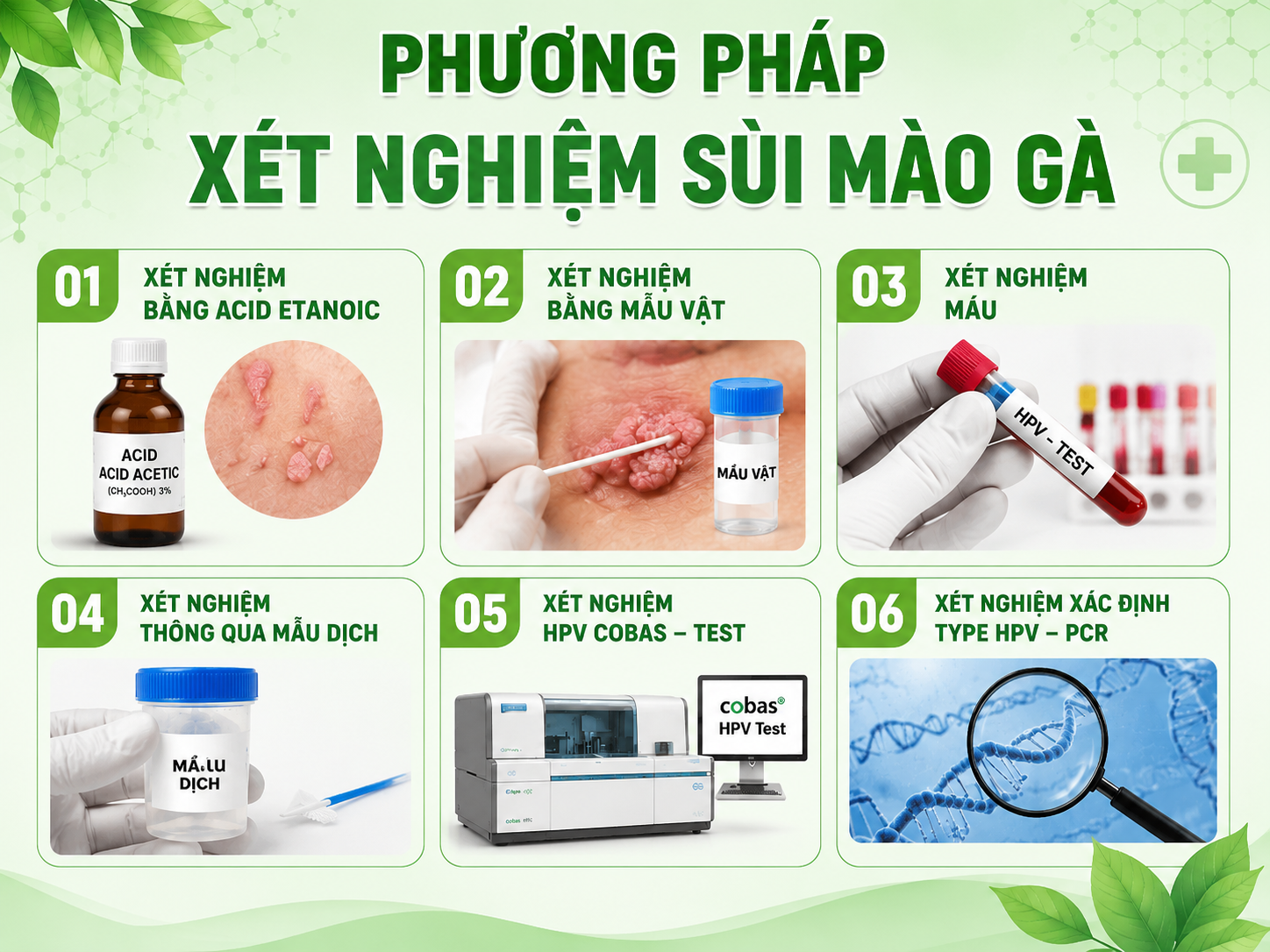 GAI SINH DỤC KHÁC SÙI MÀO GÀ NHƯ THẾ NÀO? DẤU HIỆU PHÂN BIỆT 4 xet nghiem sui mao ga