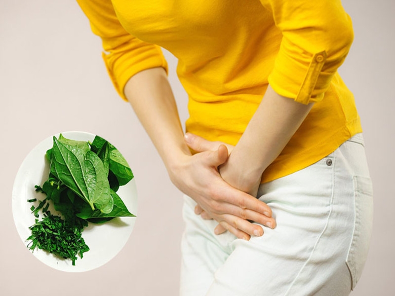 LÁ LỐT CHỮA VIÊM PHỤ KHOA: MẸO CỨU CÁNH CHO PHÁI ĐẸP 3 Dùng lá lốt chữa viêm phụ khoa có hiệu quả không?