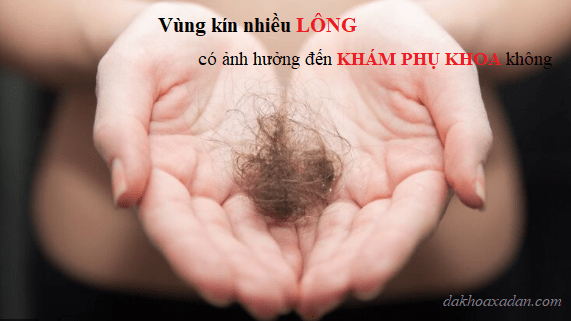 vung-kin-nhieu-long-co-anh-huong-den-kham-phu-khoa-khong