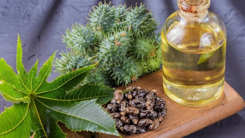 TOP 5 CÁCH CHỮA VIÊM BUỒNG TRỨNG BẰNG DÂN GIAN DỄ THỰC HIỆN 4 chua viem buong trung dan gian bang dau thau dau