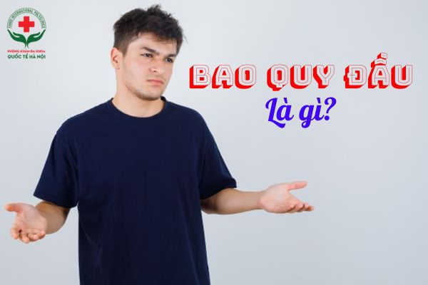bao-quy-dau-la-gi