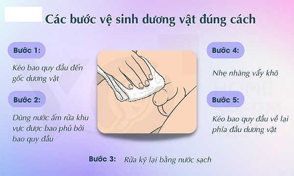cac-buoc-ve-sinh-duong-vat-dung-cach