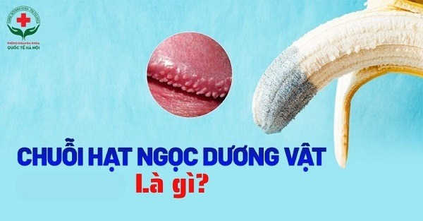 hat-ngoc-duong-vat-la-gi