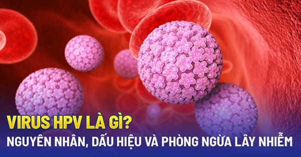 HPV là nguyên nhân chính gây bệnh sùi mào gà