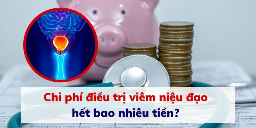 CHI PHÍ ĐIỀU TRỊ VIÊM NIỆU ĐẠO HẾT BAO NHIÊU? BẢNG GIÁ MỚI NHẤT 1 bảng giá chi phí điều trị viêm niệu đạo