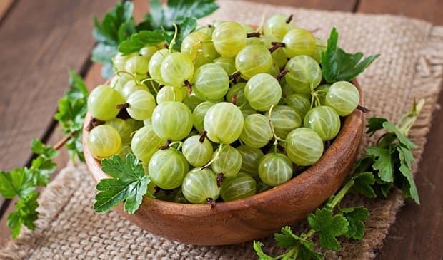 CHỮA ĐA NANG BUỒNG TRỨNG DÂN GIAN: 6 CÁCH PHỔ BIẾN HIỆN NAY 8 chua da nang buong trung dan gian bang qua ly gai