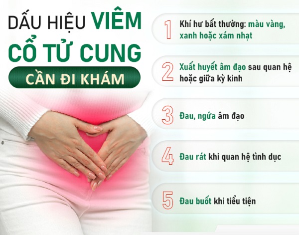 TỔNG HỢP KIẾN THỨC TỪ A - Z VỀ VIÊM CỔ TỬ CUNG 2 dau hieu viem ctc