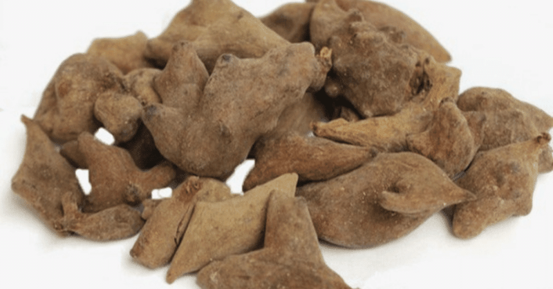 6 BÀI THUỐC ĐÔNG Y TRỊ XUẤT TINH SỚM TẠI NHÀ HIỆU QUẢ 6 Thuốc Đông y chữa xuất tinh sớm bằng ngũ bội tử