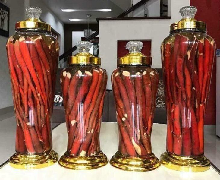 6 BÀI THUỐC ĐÔNG Y TRỊ XUẤT TINH SỚM TẠI NHÀ HIỆU QUẢ 3 Rễ cau ngâm rượu - Bài thuốc Đông y trị xuất tinh sớm hiệu quả