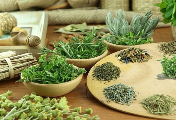 BÀI THUỐC NAM CHỮA VIÊM ĐƯỜNG TIẾT NIỆU TẠI NHÀ 1 Thuốc nam chữa viêm đường tiết niệu