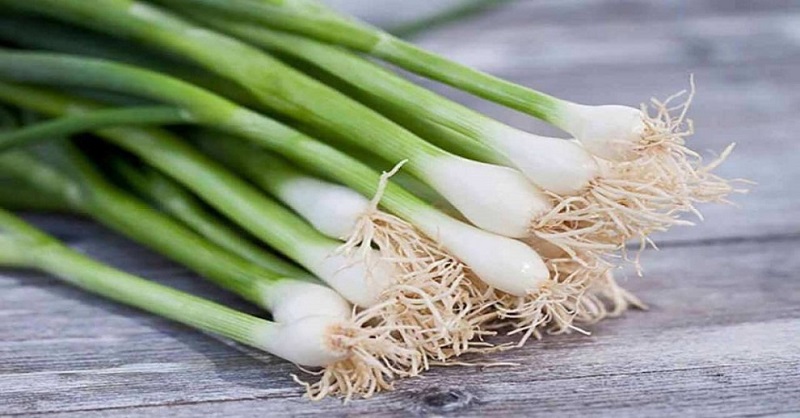 10+ TÁC DỤNG CỦA HÀNH LÁ VỚI ĐÀN ÔNG 1 Tác dụng của hành lá với đàn ông - Cải thiện chức năng sinh lý