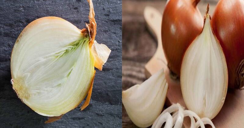 9 + TÁC DỤNG CỦA HÀNH TÂY VỚI NAM GIỚI 1 9 tac dung cua hanh tay doi voi nam gioi