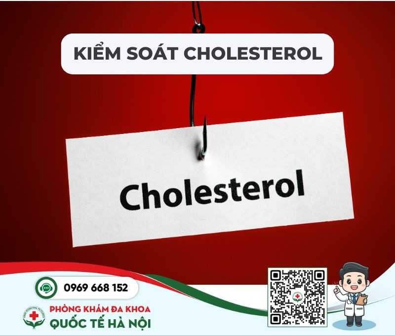 kiểm soát và cân bằng hàm lượng Cholesterol