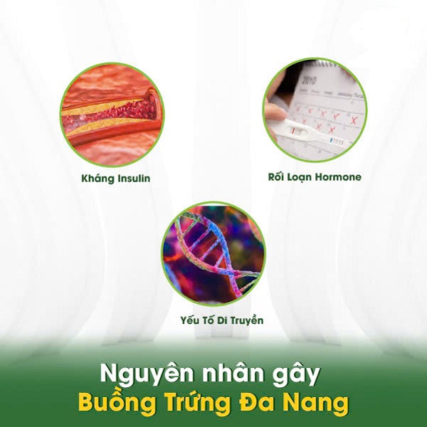 ĐA NANG BUỒNG TRỨNG 2 BÊN: NGUYÊN NHÂN & CÁCH CHỮA 2 nguyen nhan buong trung da nang