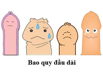 dai bao quy dau