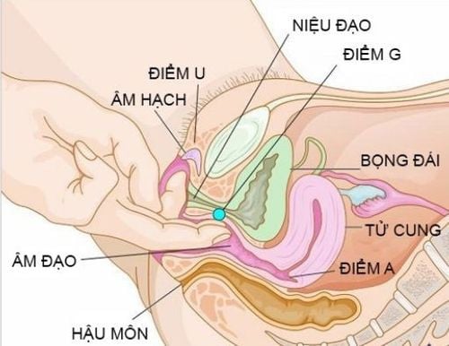 VIÊM ÂM ĐẠO CÓ PHẢI ĐẶT THUỐC KHÔNG? 1 Viêm âm đạo phải đặt thuốc không?