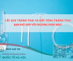 so-sanh-cay-que-tranh-thai-va-dat-vong-tranh-thai